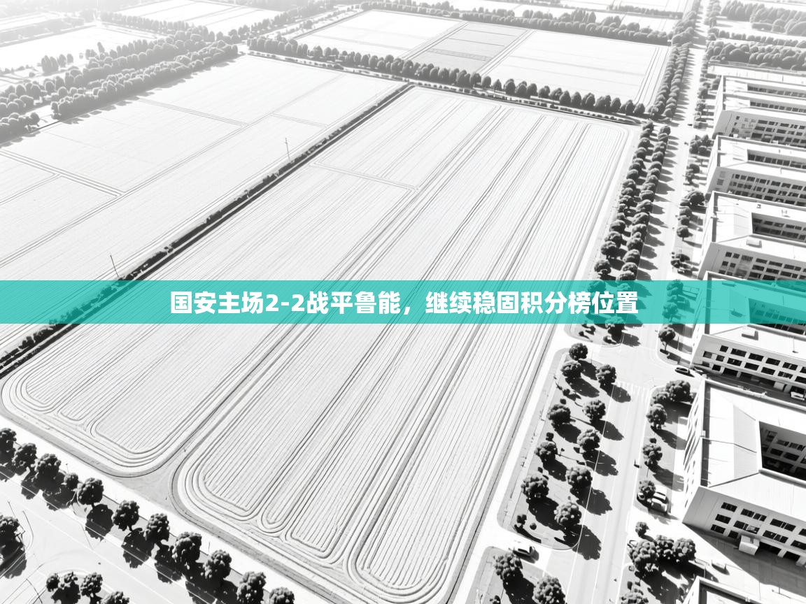 国安主场2-2战平鲁能，继续稳固积分榜位置  第2张