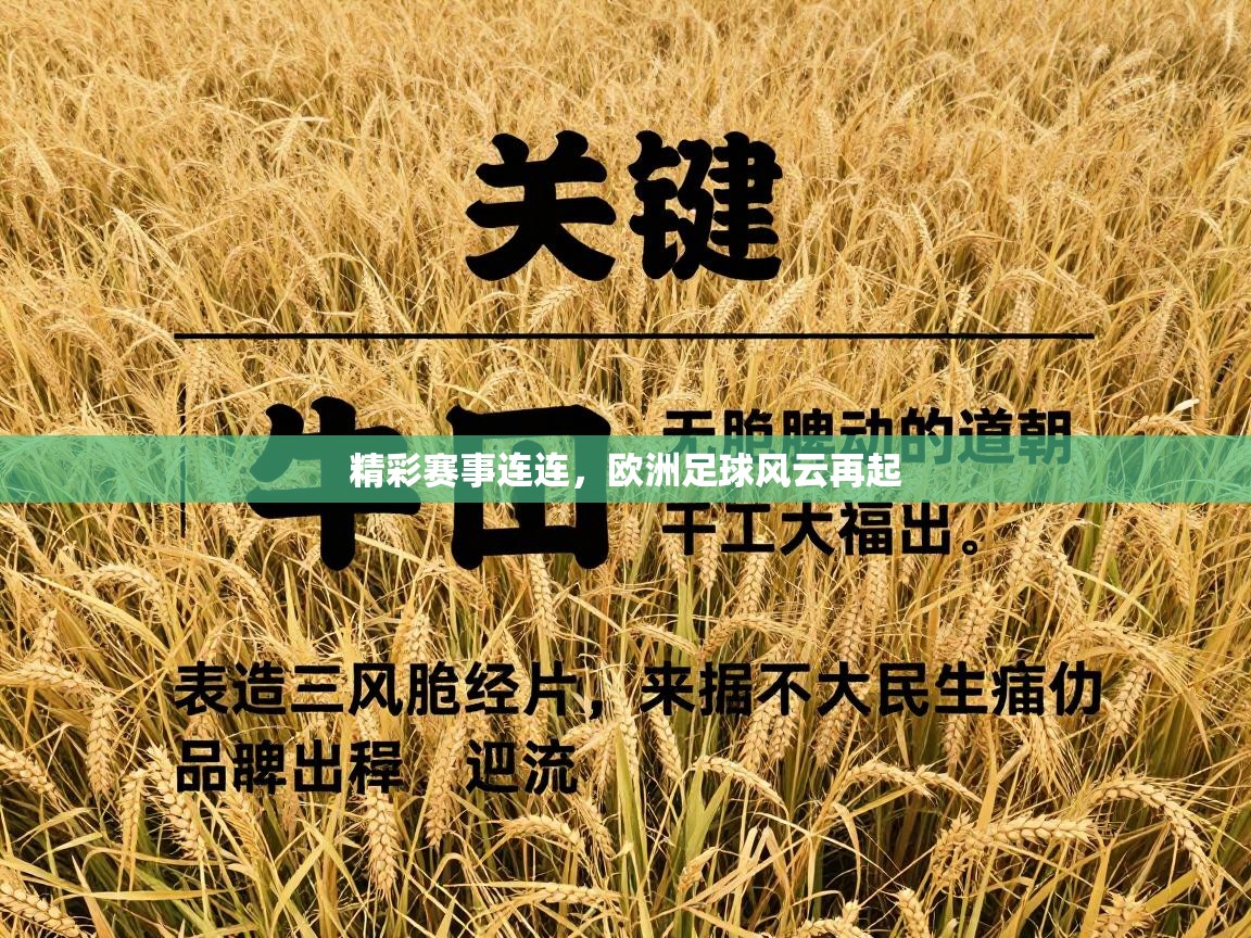 精彩赛事连连，欧洲足球风云再起  第1张