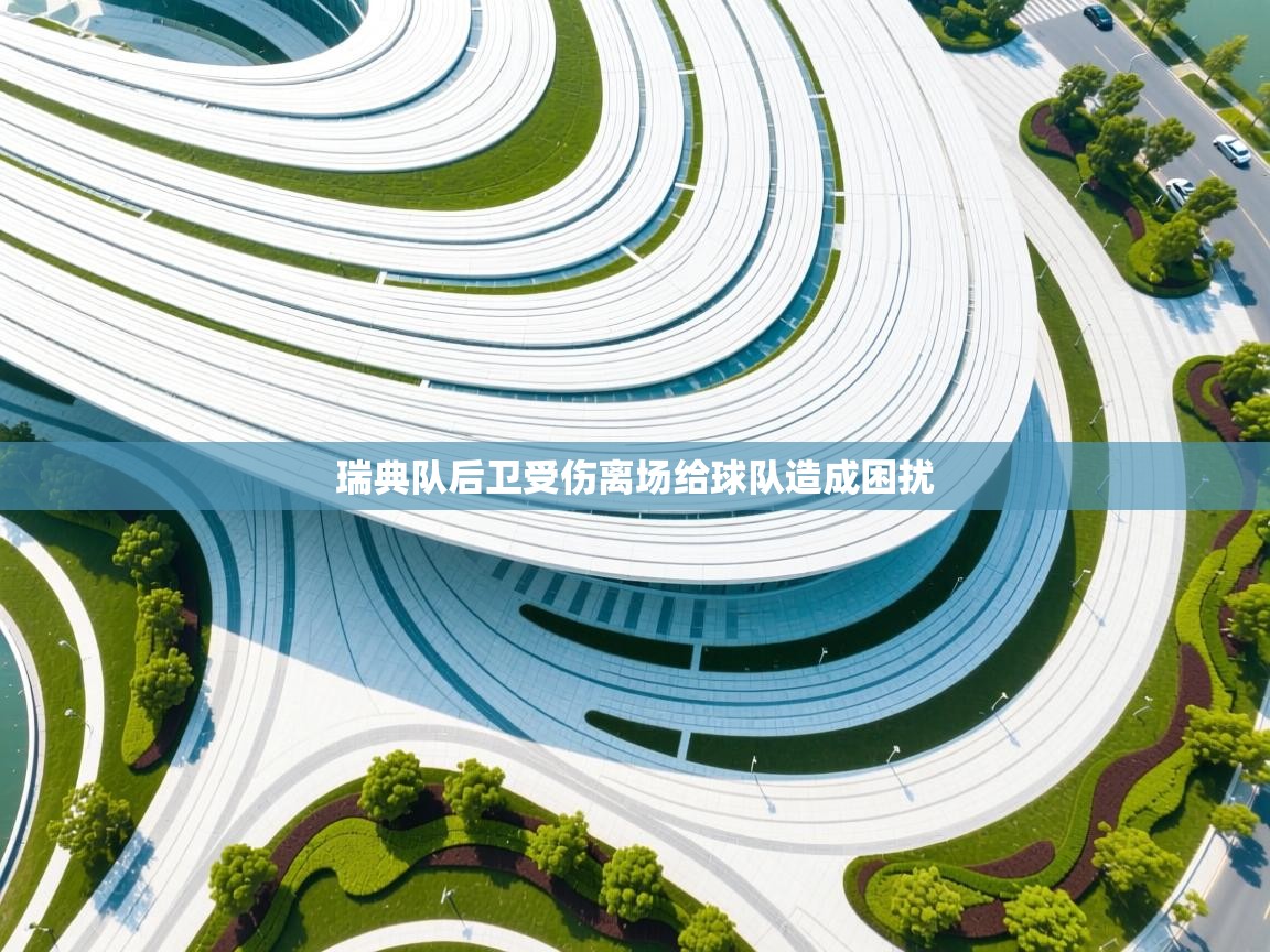 瑞典队后卫受伤离场给球队造成困扰  第1张