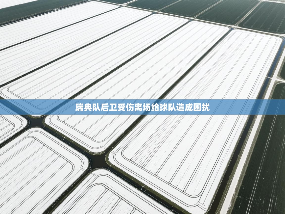 瑞典队后卫受伤离场给球队造成困扰  第2张