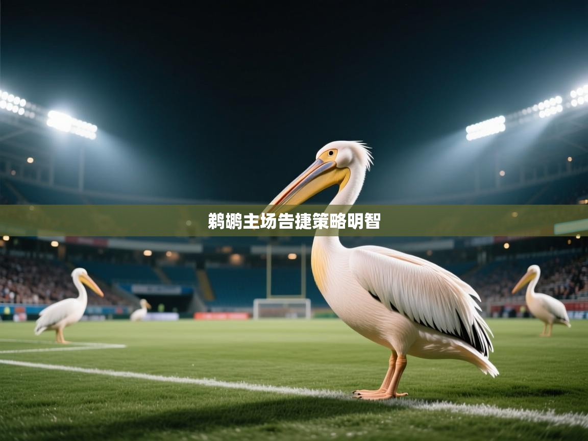 鹈鹕主场告捷策略明智 第2张