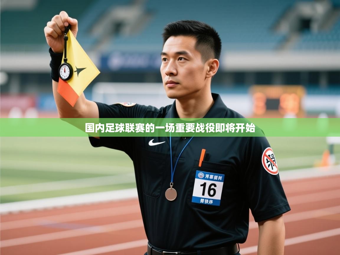 国内足球联赛的一场重要战役即将开始 第1张