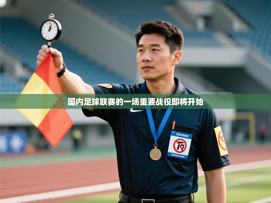 国内足球联赛的一场重要战役即将开始 第2张