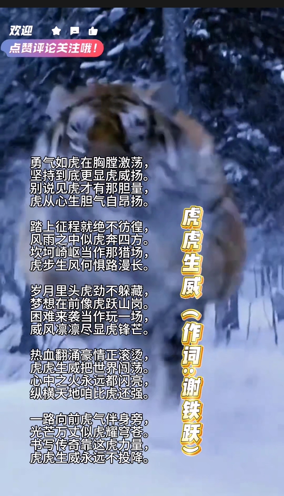 饮鸩止渴，华南虎主场取得胜利的简单介绍